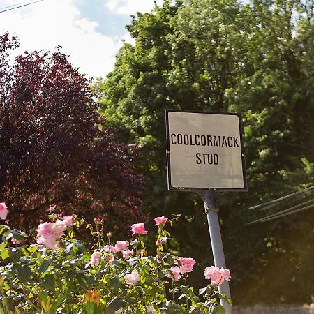 Coolcormack Stud B&B Dungarvan  Exteriör bild