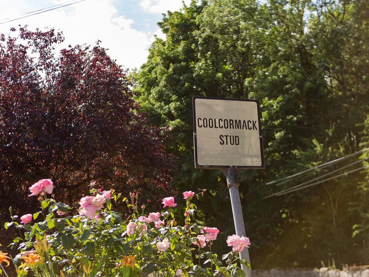 Coolcormack Stud B&B Dungarvan  Exteriör bild